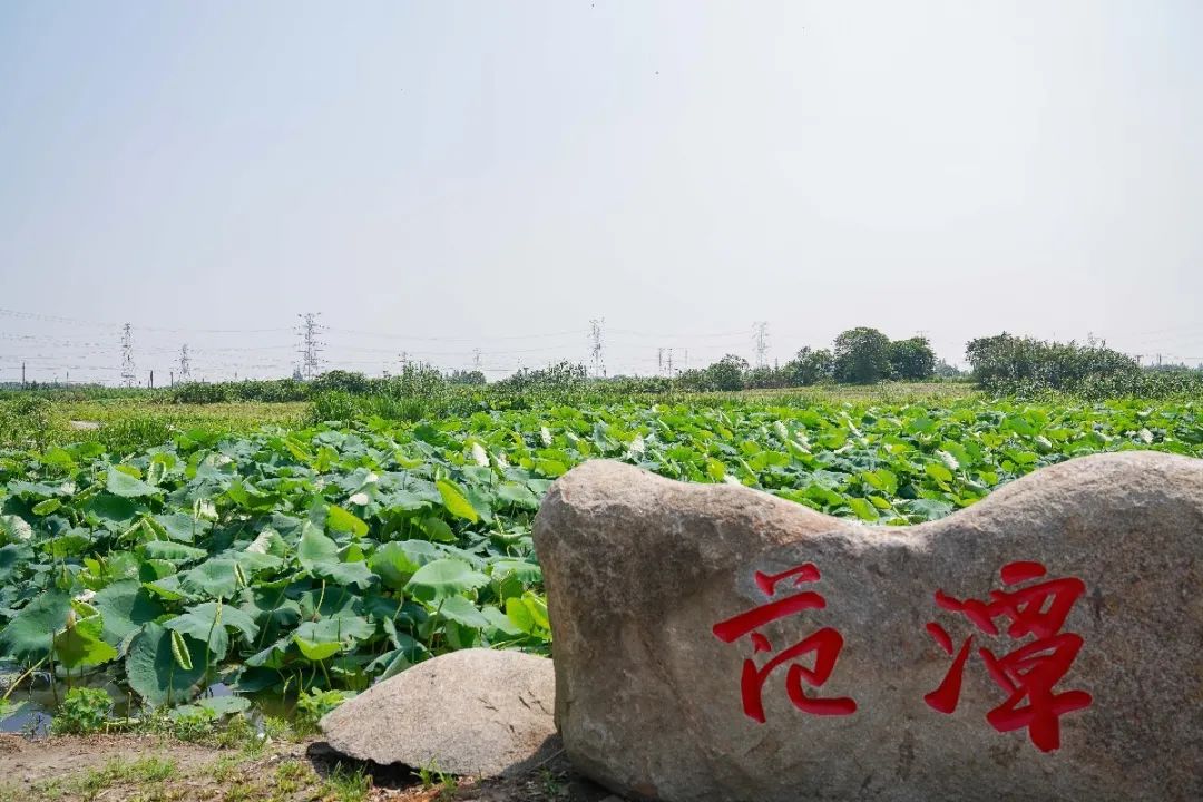 夏.JPG