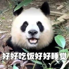 DƬ