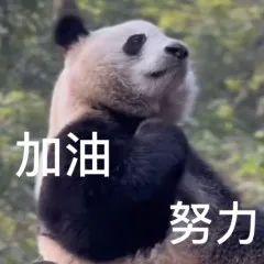 DƬ
