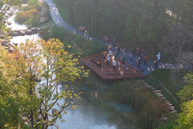 濱江公園