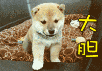 0741FF37.gif