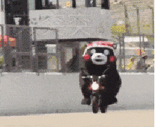 a6d9a6f9d8b9c648e1e2bdeb2f88d8f4.gif