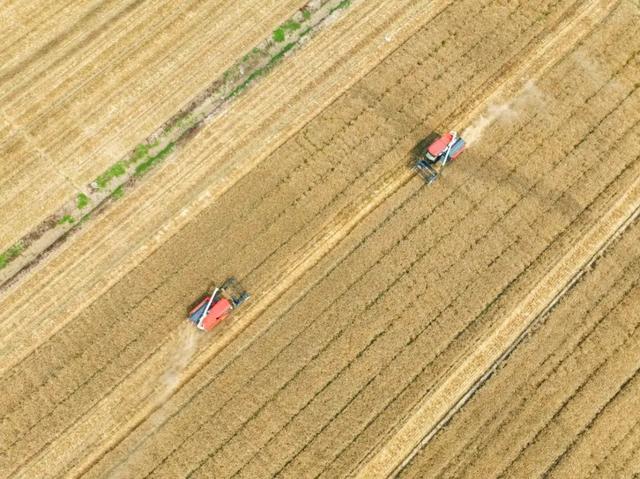 DJI_0239.jpg