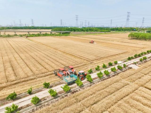 DJI_0190.jpg