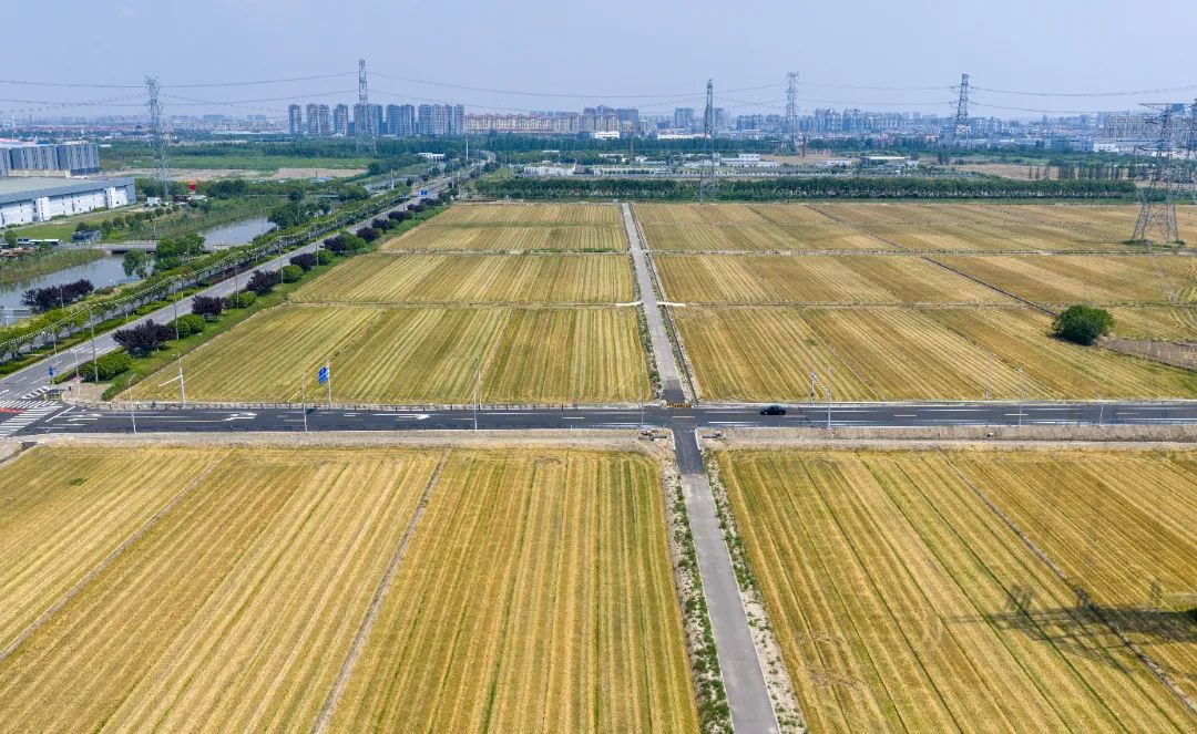 DJI_20250529101840_0141_D.jpg