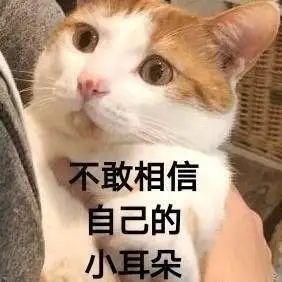 DƬ