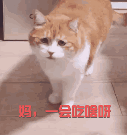 DƬ