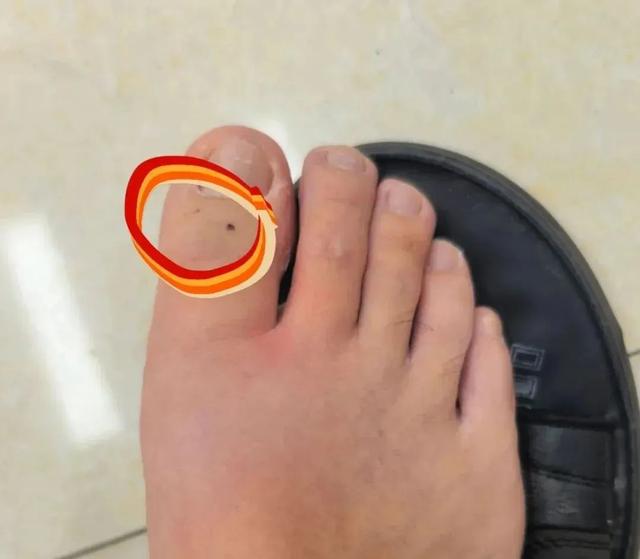 ͼƬ