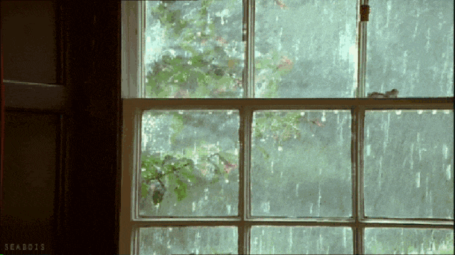32.gif