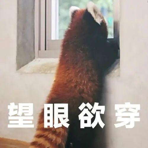 8f6748d22ea777a9bf205a328addef9e.jpeg