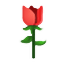 DƬ