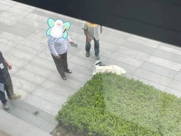 ͼƬ