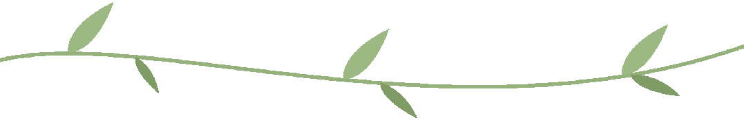 DƬ