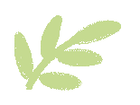 DƬ