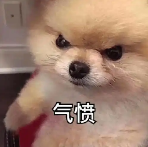 微信图片_20250619132224.png