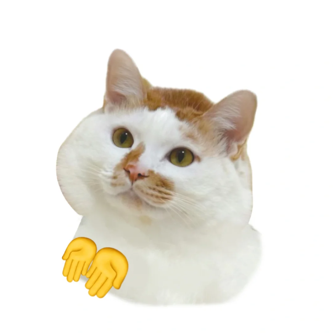 DƬ