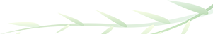 DƬ