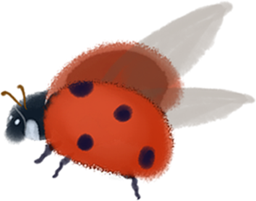ͼƬ