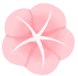 DƬ