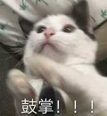 06770B96.png