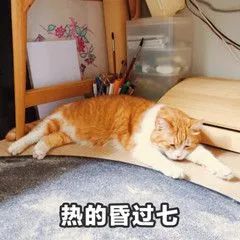 0B002E23.jpg