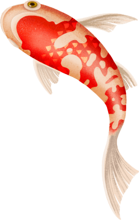 DƬ