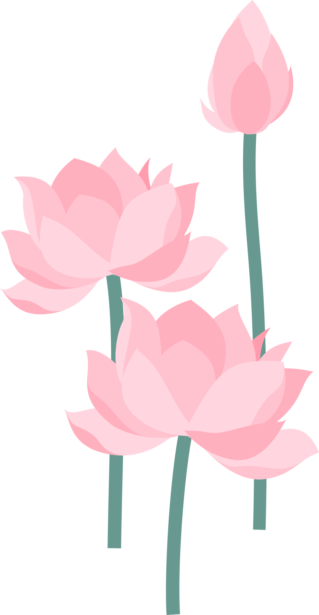 DƬ