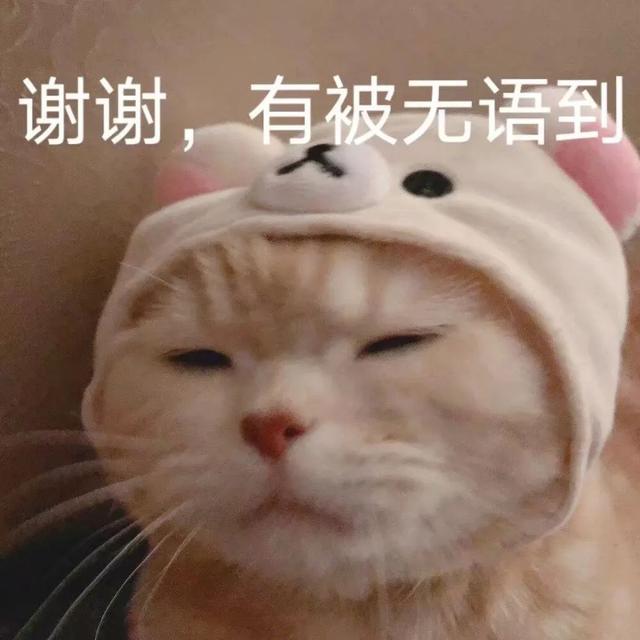 ff2c4c2eff0f15afa86daeee6053e618.jpeg