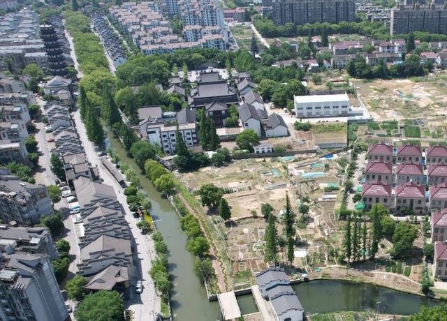 南側(cè)地塊.jpg