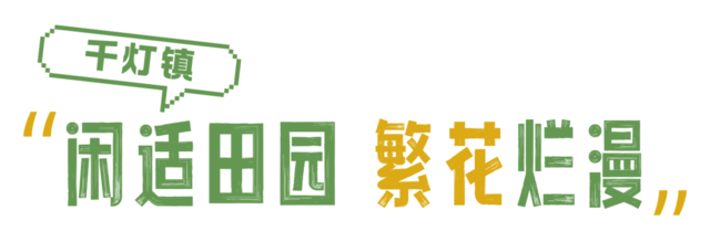DƬ