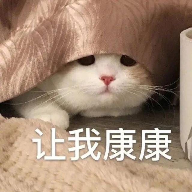 a81447fbd9c017b25604058428f1815f.jpeg