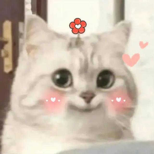 26d01180ead8ff490c2c5d9b48adbdf6.jpeg