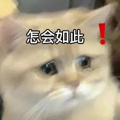0B20CCE8.jpg