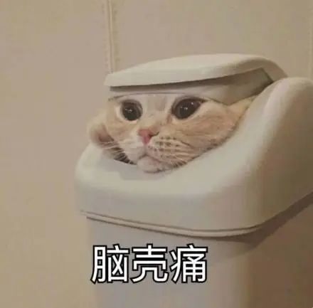 69abf51971d448470690fea3fd936067.jpeg