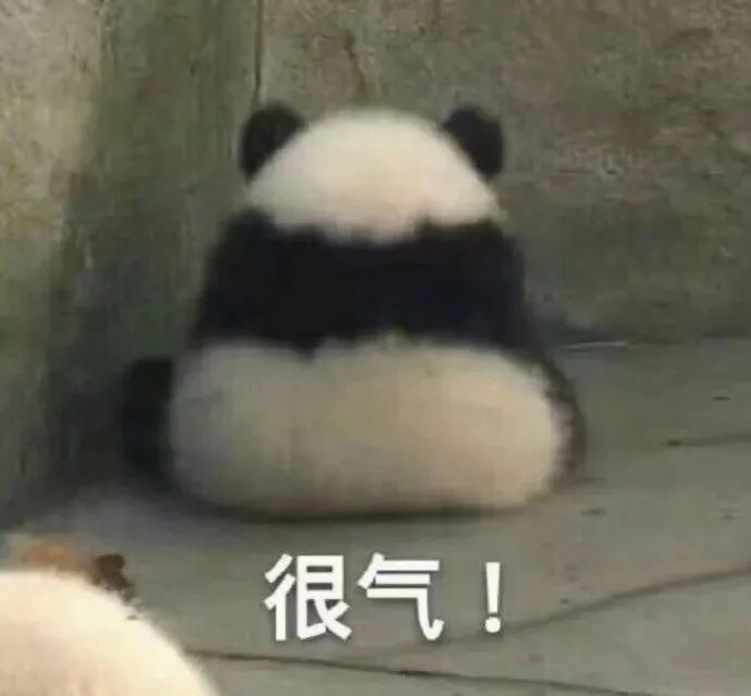739896362b7c2d822a49bf1b558369bf.jpeg