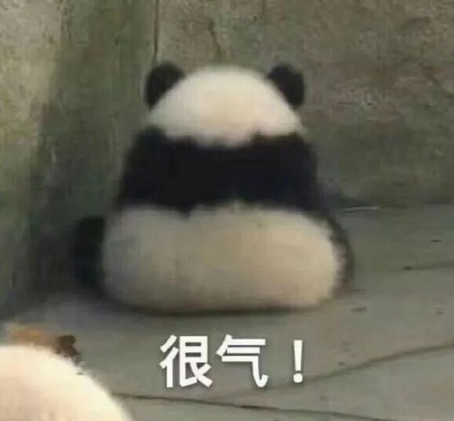 739896362b7c2d822a49bf1b558369bf.jpeg