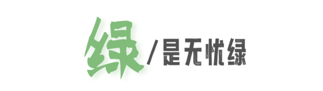 DƬ