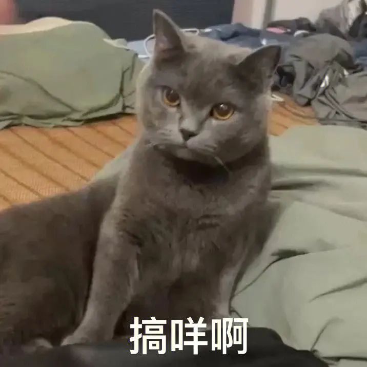 DƬ