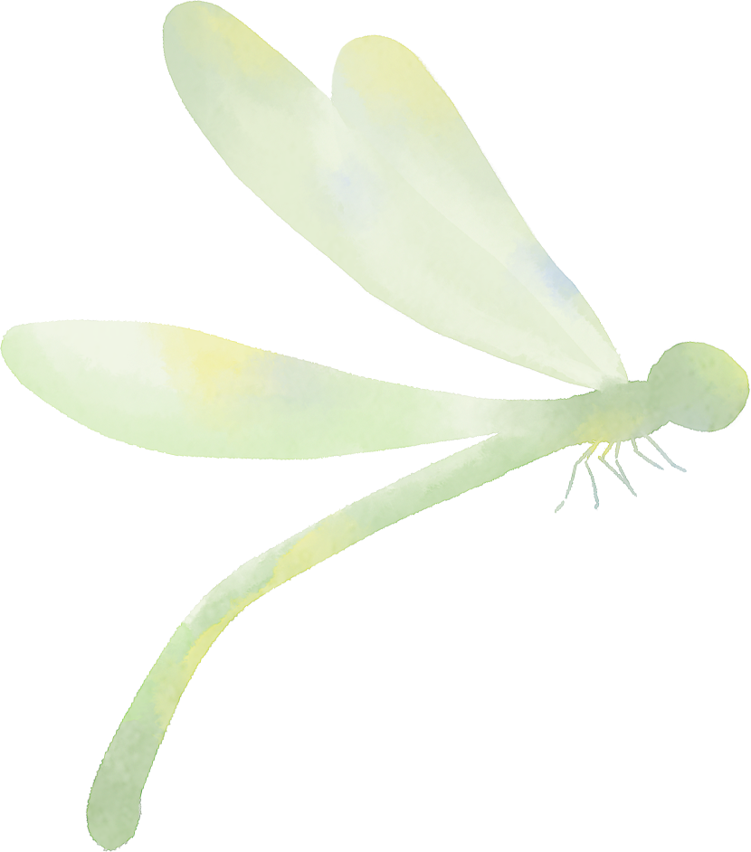 DƬ