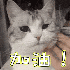 1091822C.gif