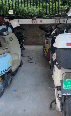 ߰11111.gif