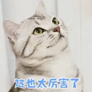 f7ed4ee573394edcb4b55e99d4906091.gif