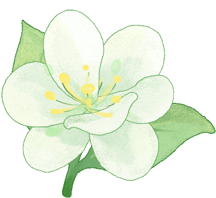 DƬ