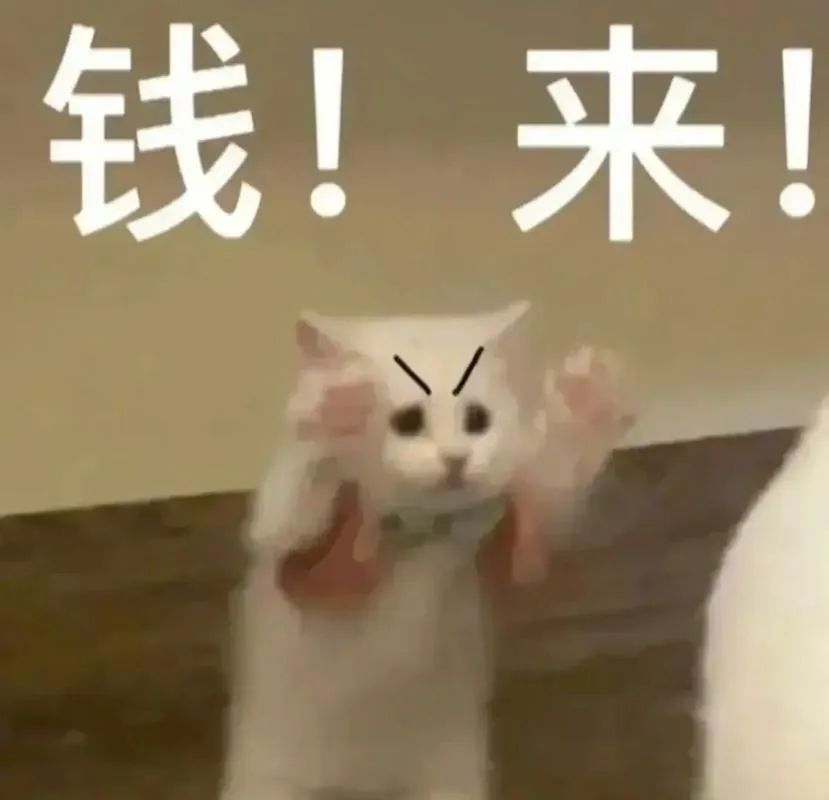 DƬ