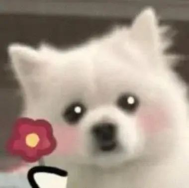 ddf6c460e037b1f39663c492b0470642.jpeg