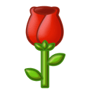 DƬ