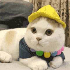 0036B714.gif