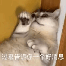 00276A55.gif