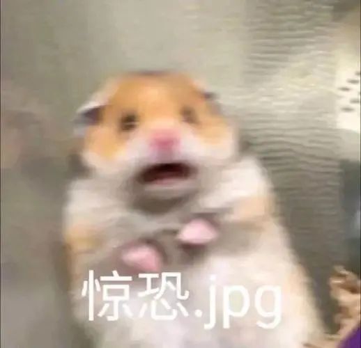 a470e3ac0b26fde543b386b3349af26d.jpeg