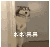 6e6405f699c6050530a13b9bde0f9388.gif